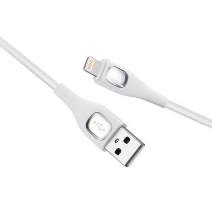 Câble chargeur USB-A vers Lightning 12W 1m/2m